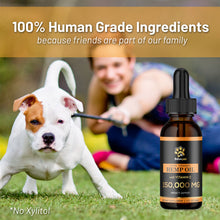 Billion Pets with Vitamin C - Hemp Oil for Dogs and Cats